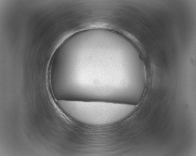 X0000080101423200612080918