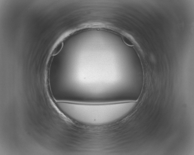 X0000080101424200612080918