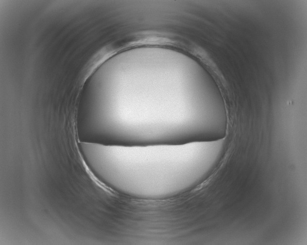 X0000080101425200612080918