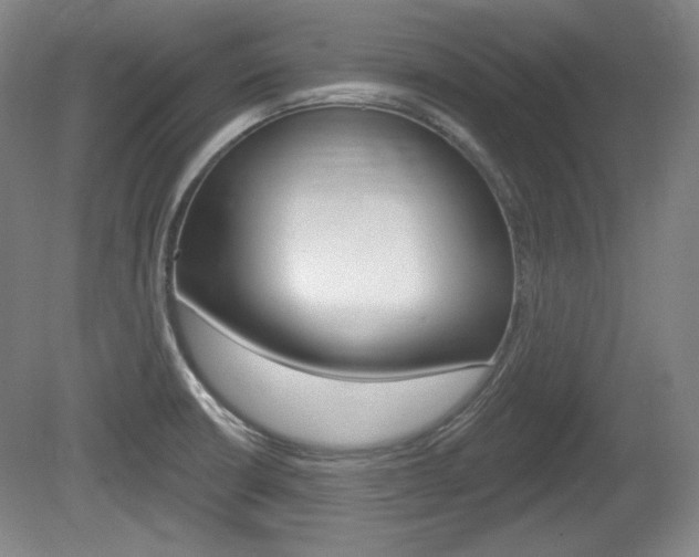 X0000080101426200612080918