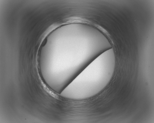 X0000080101431200612080918