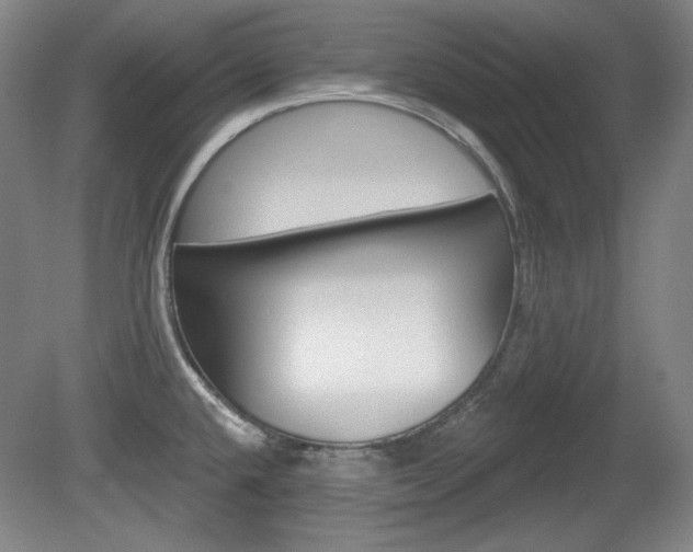 X0000080101432200612080918