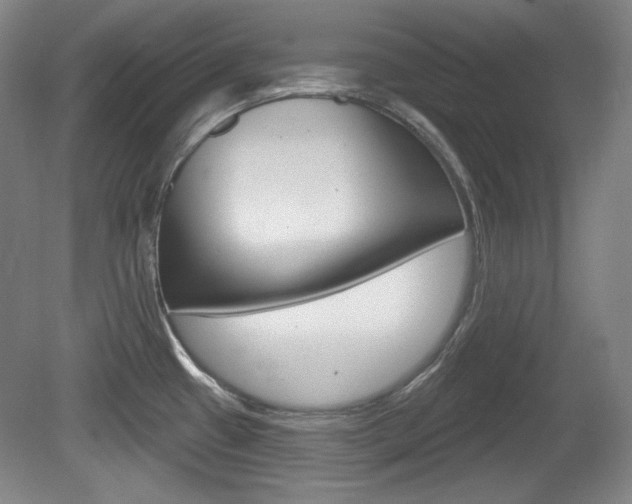 X0000080101433200612080918