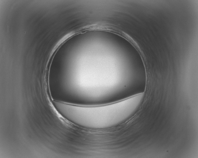 X0000080101434200612080918