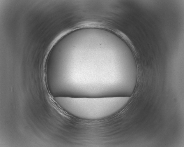 X0000080101435200612080918