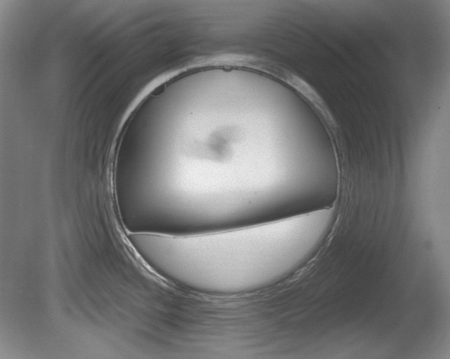 X0000080101436200612080918