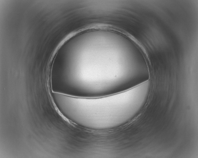 X0000080101437200612080918