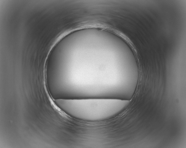 X0000080101439200612080918