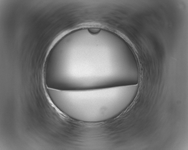 X0000080101440200612080918