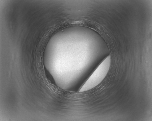 X0000080101441200612080917