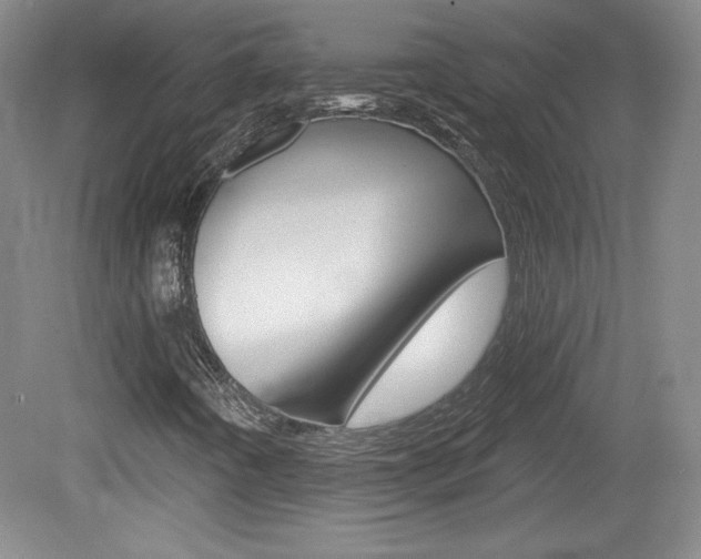 X0000080101442200612080917