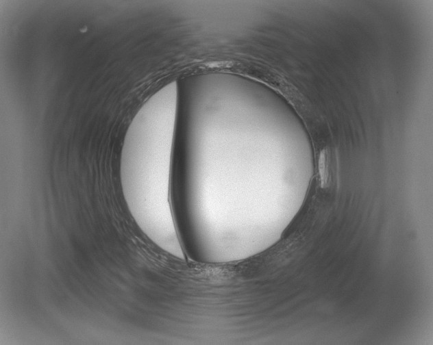 X0000080101443200612080917