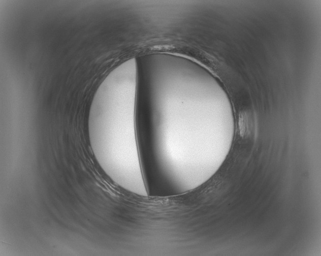 X0000080101444200612080917