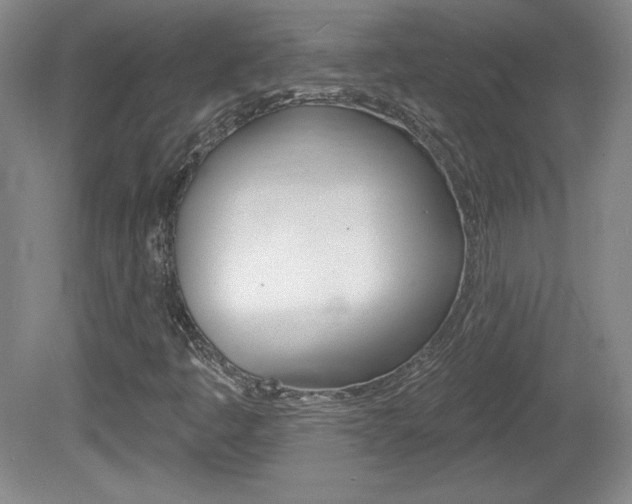 X0000080101445200612080917
