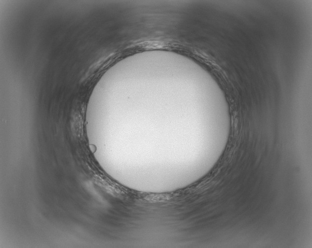 X0000080101446200612080917