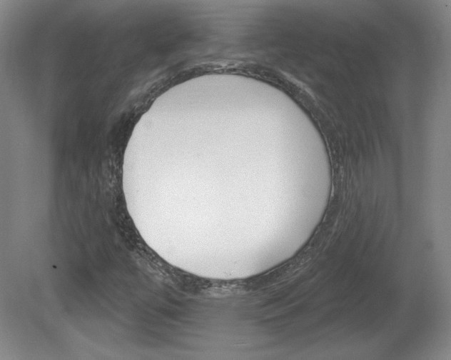 X0000080101447200612080917