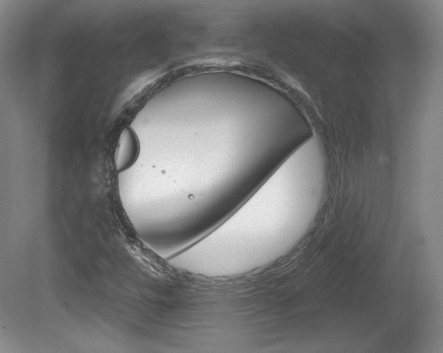 X0000080101448200612080917