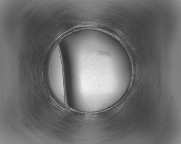 X0000080101449200612080917