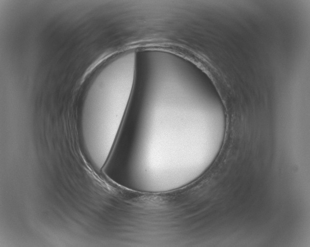 X0000080101450200612080917