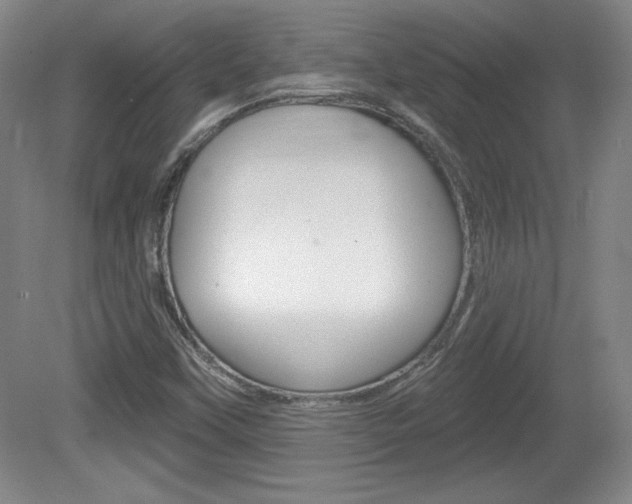 X0000080101451200612080917