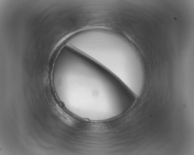 X0000080101452200612080917