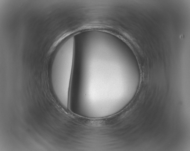 X0000080101453200612080917