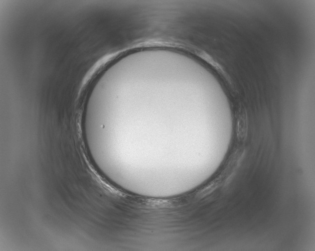 X0000080101454200612080917