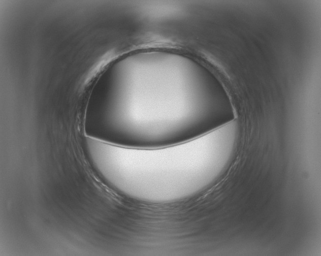 X0000080101455200612080917