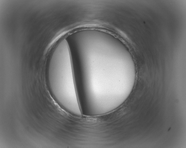 X0000080101456200612080917