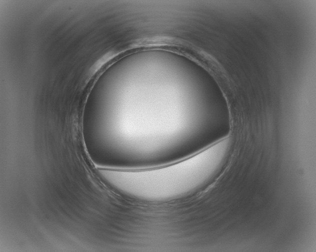 X0000080101457200612080917