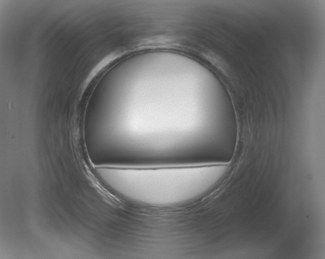 X0000080101458200612080917