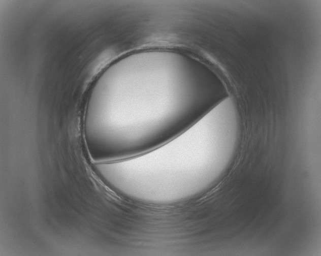 X0000080101459200612080917