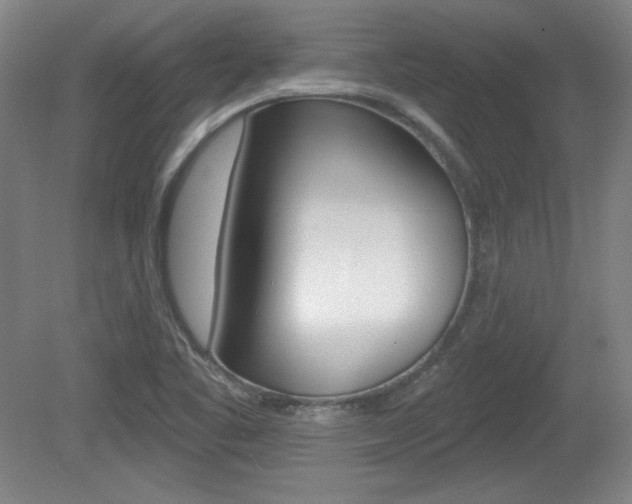 X0000080101461200612080917