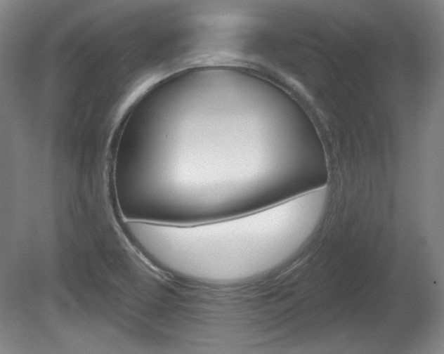 X0000080101463200612080917