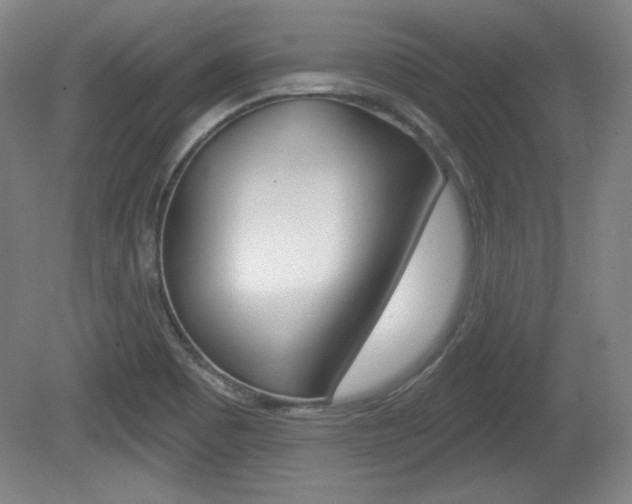 X0000080101465200612080917