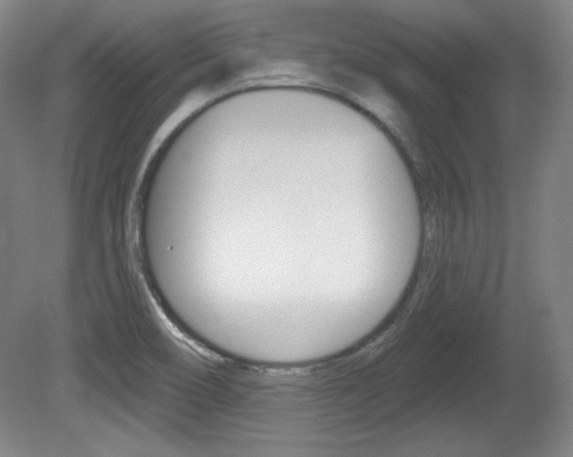 X0000080101466200612080917