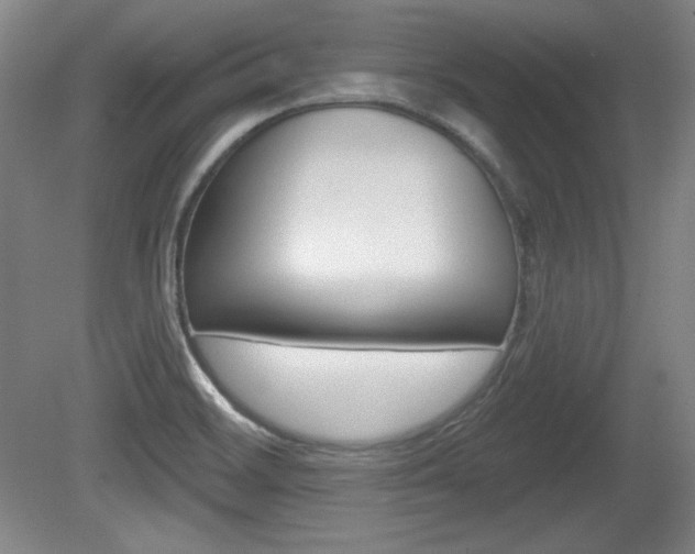 X0000080101468200612080917