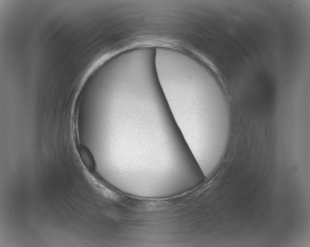 X0000080101471200612080917