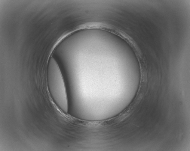 X0000080101473200612080917