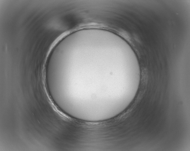 X0000080101474200612080917