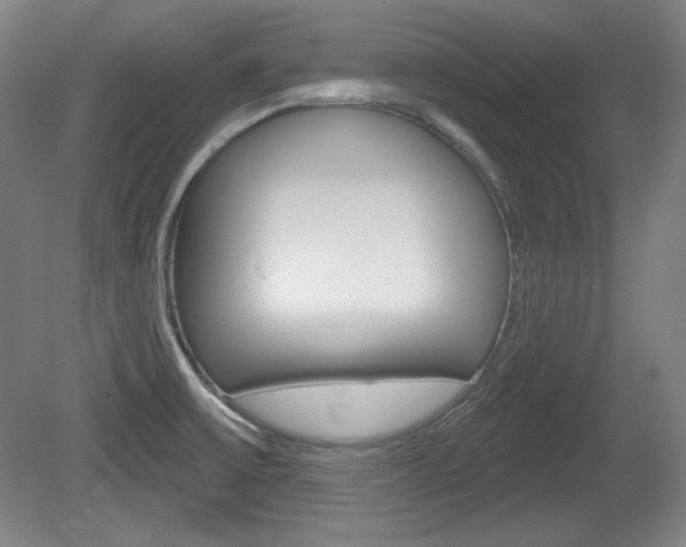 X0000080101475200612080917