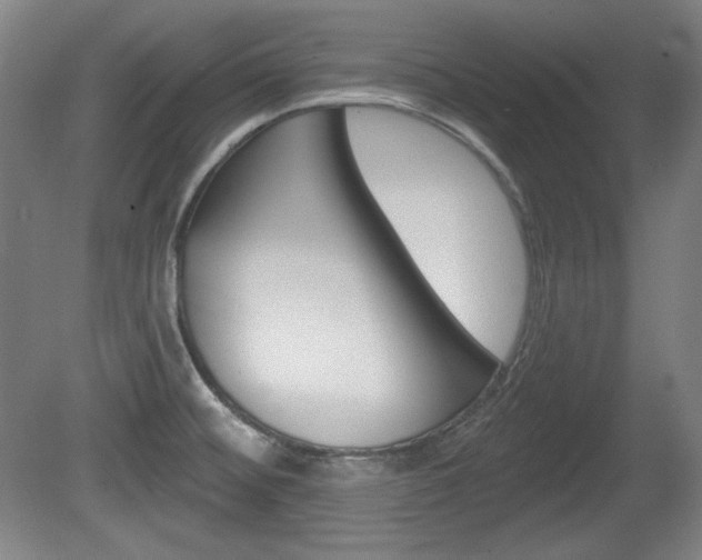 X0000080101476200612080917