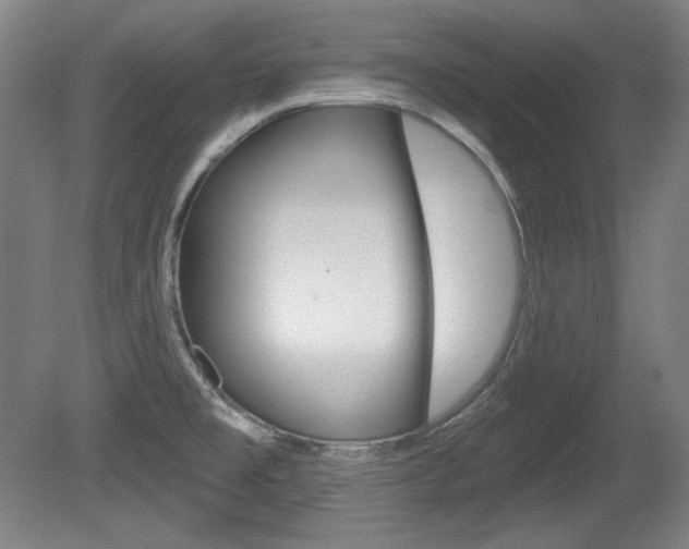 X0000080101477200612080916
