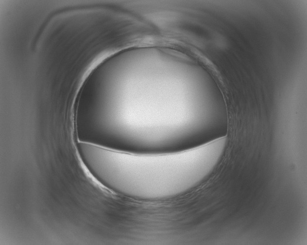 X0000080101479200612080916