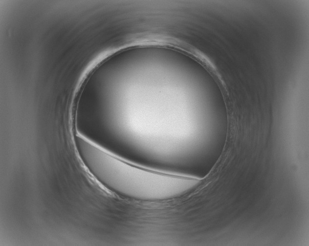 X0000080101480200612080916