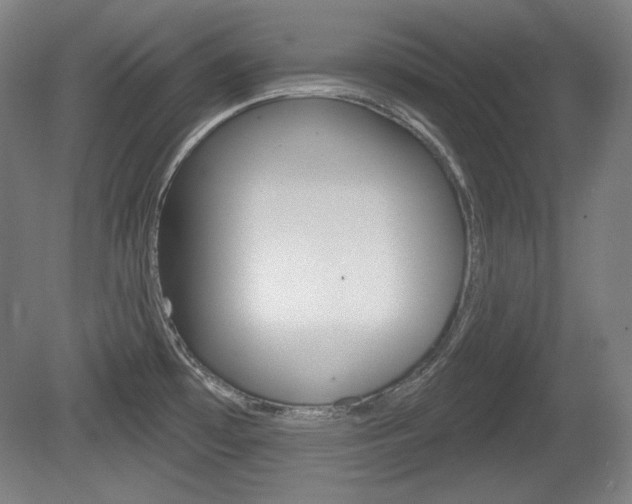 X0000080101481200612080916