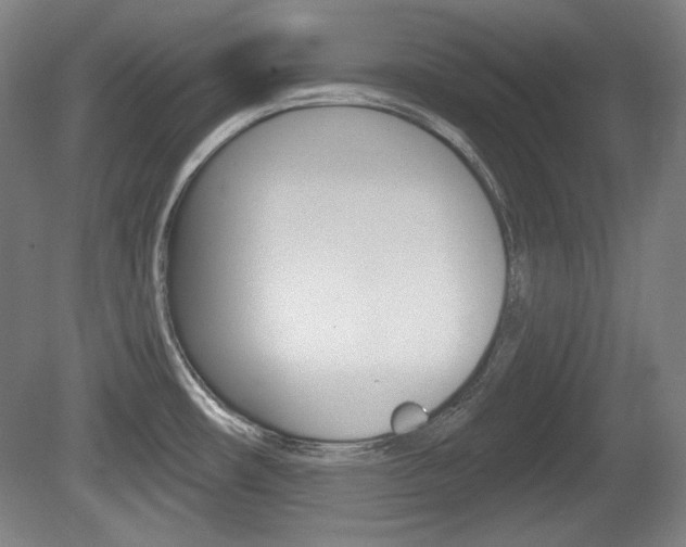 X0000080101482200612080916