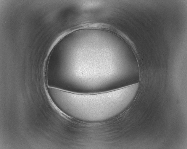X0000080101483200612080916