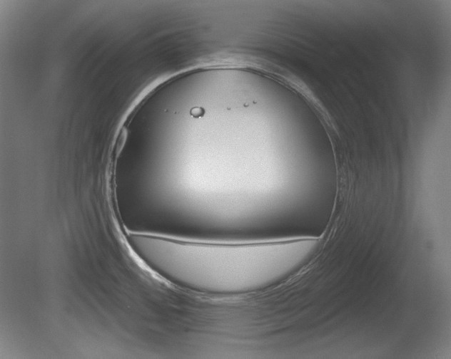 X0000080101484200612080916