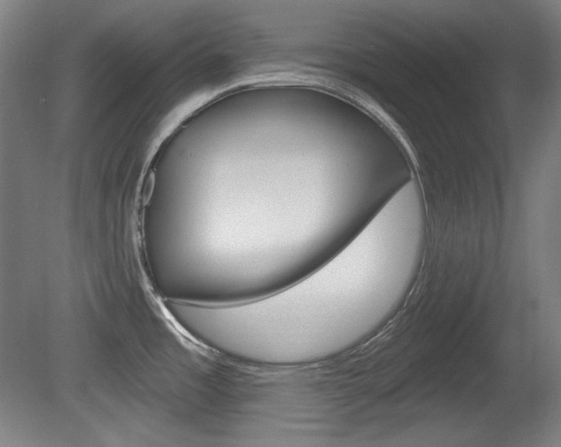 X0000080101485200612080916